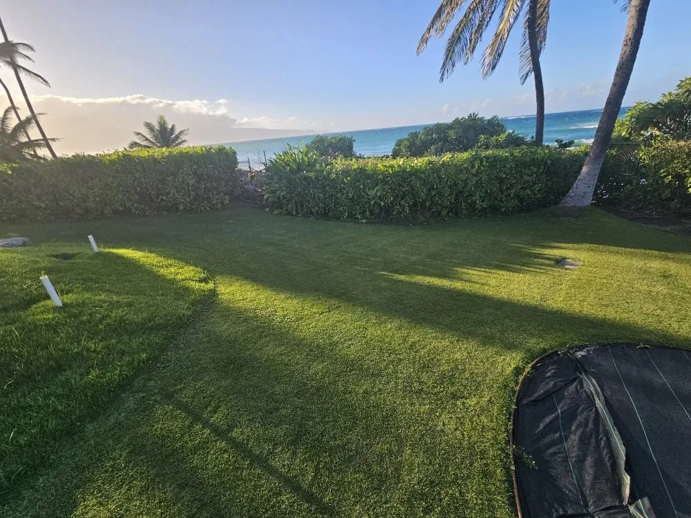 Reliable lawn care service near you across Wailuku, HI - Hawaiian Oasis Landscape