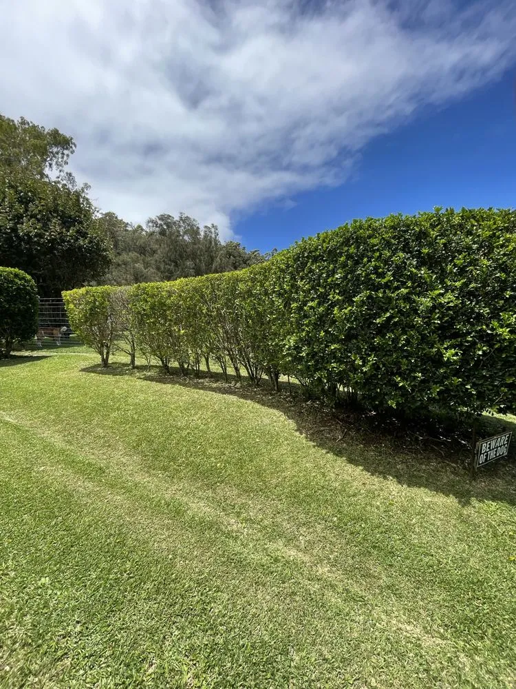 Expert outdoor landscaping in Waimea, HI - Hawaiian Rootz Lawn Care And Maintenance
