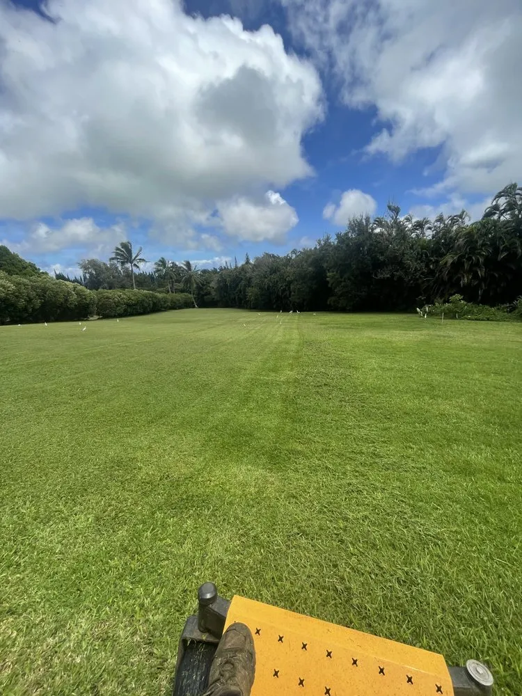 Trusted outdoor landscaping for year-round maintenance in Waimea, HI by Hawaiian Rootz Lawn Care And Maintenance