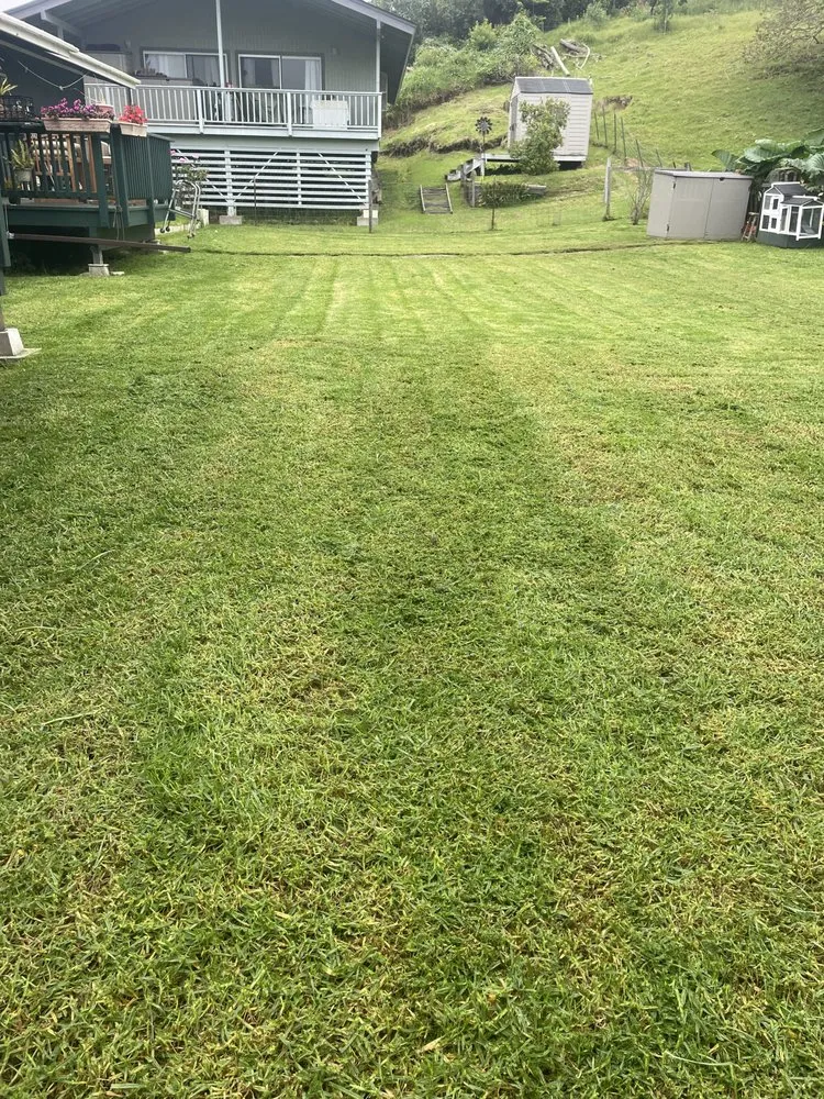 Custom residential landscaping experts serving Waimea, HI - Hawaiian Rootz Lawn Care And Maintenance