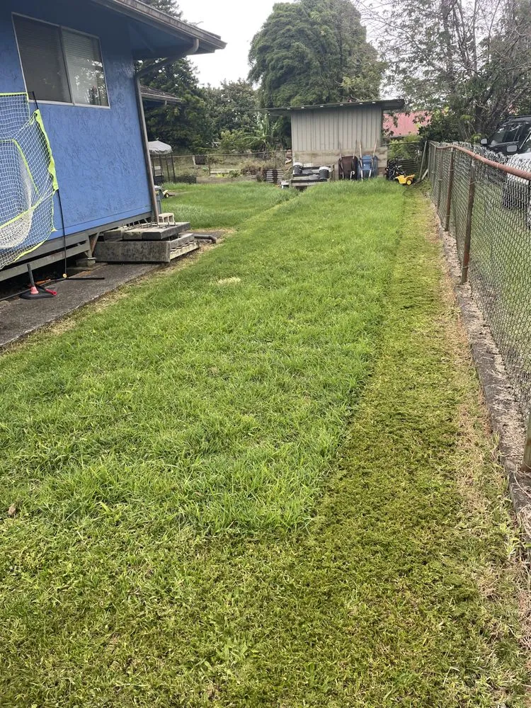 Top-rated landscape design for homes across Waimea, HI - Hawaiian Rootz Lawn Care And Maintenance