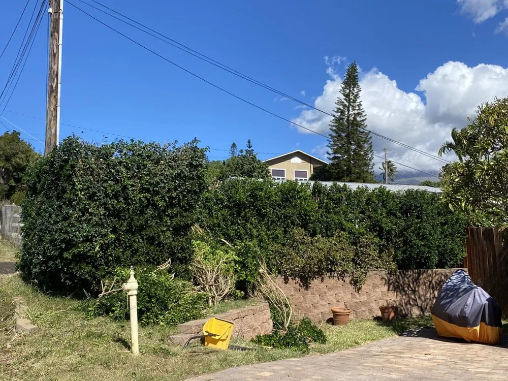 Local outdoor landscaping for residential properties in Wailuku, HI by Hawaiian Style Home & Landscaping