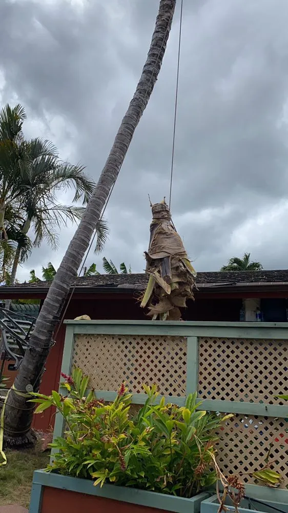 Local landscaping services in Wailuku, HI - Hawaiian Style Home & Landscaping