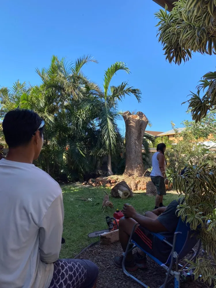 Expert lawn mowing service in Wailuku, HI - Hawaiian Style Home & Landscaping