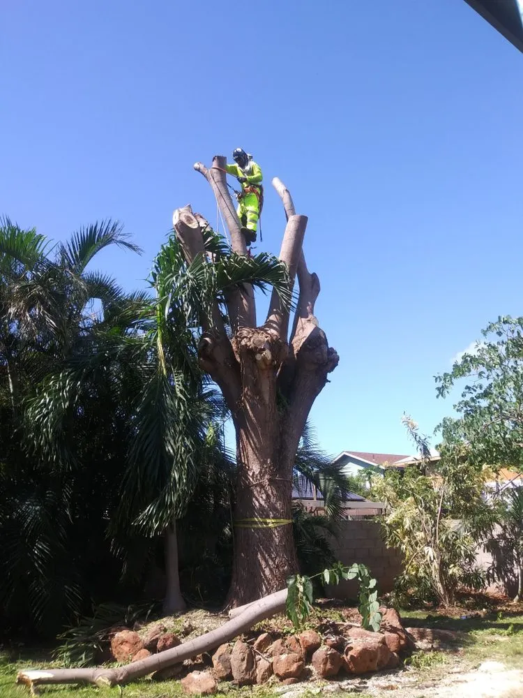 Affordable landscape design with custom design in Wailuku, HI by Hawaiian Style Home & Landscaping