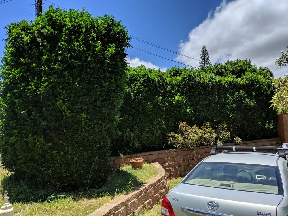 Trusted outdoor landscaping in Wailuku, HI - Hawaiian Style Home & Landscaping