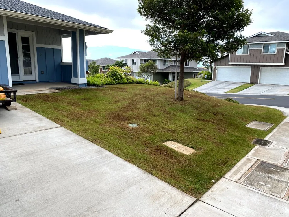Local lawn care service experts serving Wailuku, HI - Hawaiian Style Home & Landscaping