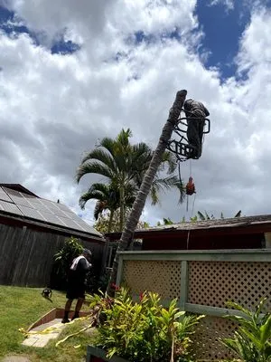 Hawaiian Style Home & Landscaping