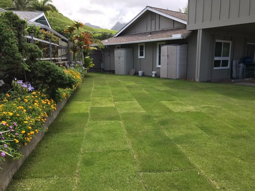 Top-rated yard cleanup service experts serving Mililani, HI - Hawaiian Turfgrass