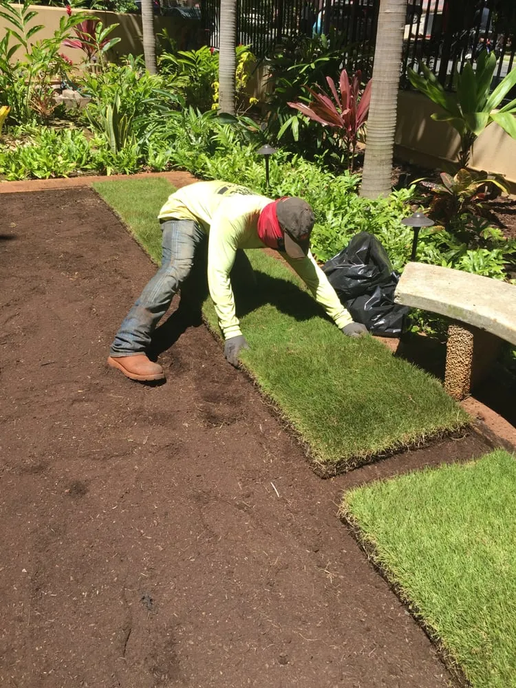 Reliable lawn care service for homes across Mililani, HI - Hawaiian Turfgrass