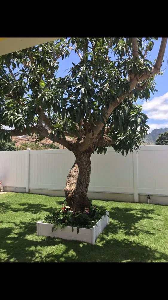 Custom residential landscaping near you in Mililani, HI by Hawaiian Turfgrass
