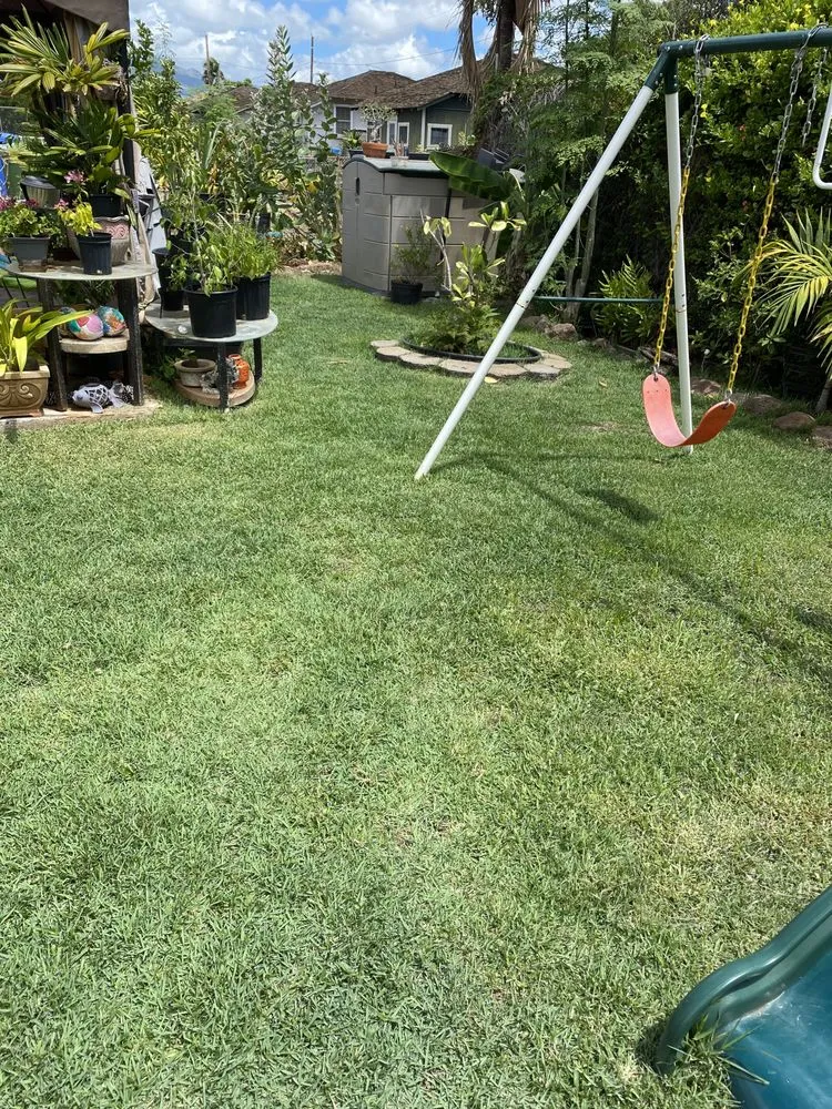 Custom landscape installation in Mililani, HI by Hawaiian Turfgrass