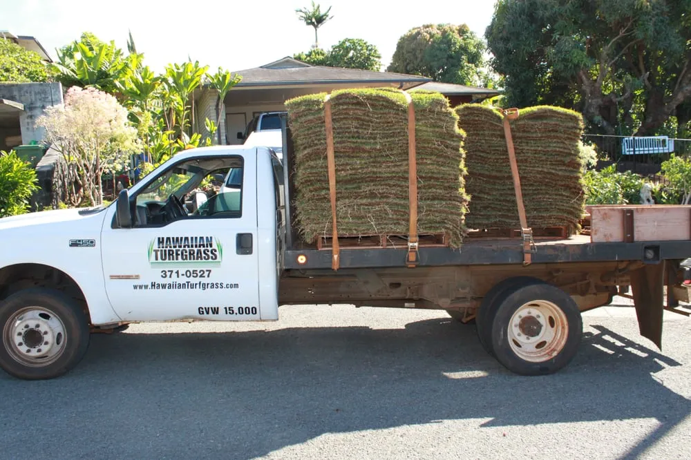 Local landscape installation for year-round maintenance in Mililani, HI by Hawaiian Turfgrass
