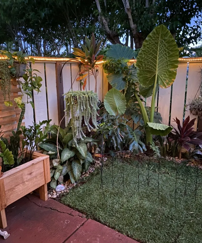 Local yard cleanup service for residential properties across Mililani, HI - Hawaiian Turfgrass