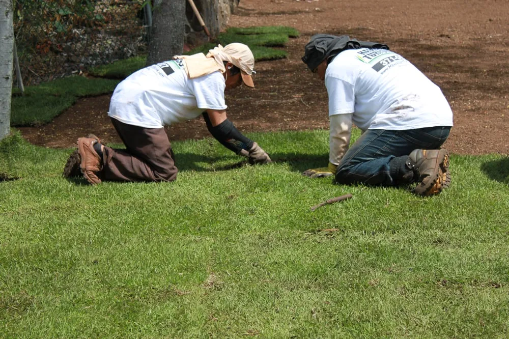 Affordable landscaping services for residential properties across Mililani, HI - Hawaiian Turfgrass