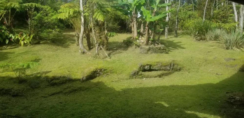 Custom landscaping services in Keaau, HI - HawaiiRain Landscaping