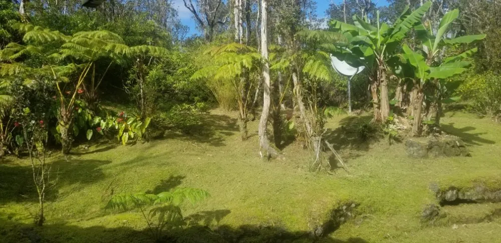 Reliable landscape design in Keaau, HI by HawaiiRain Landscaping