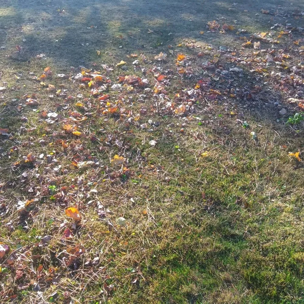 Reliable landscape installation near you across Marshfield, MA - Hawk Landscape