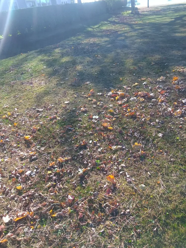 Custom residential landscaping for year-round maintenance in Marshfield, MA by Hawk Landscape