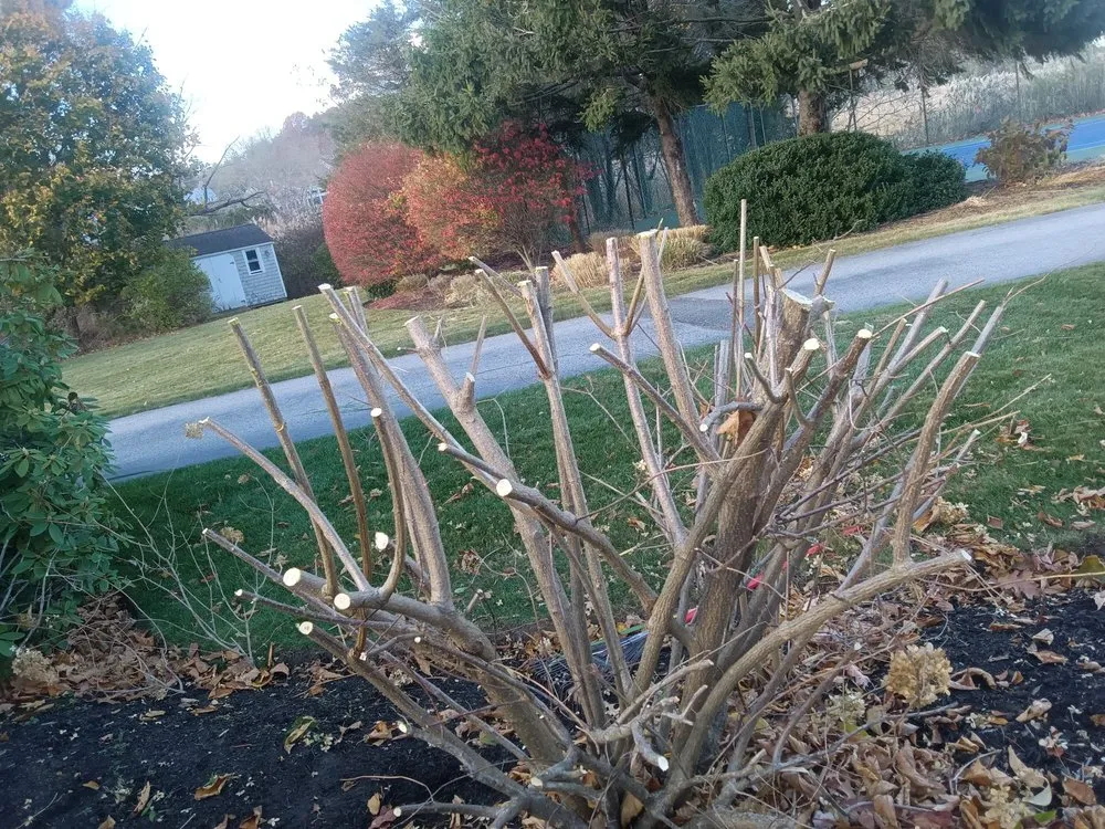 Top-rated residential landscaping with custom design across Marshfield, MA - Hawk Landscape