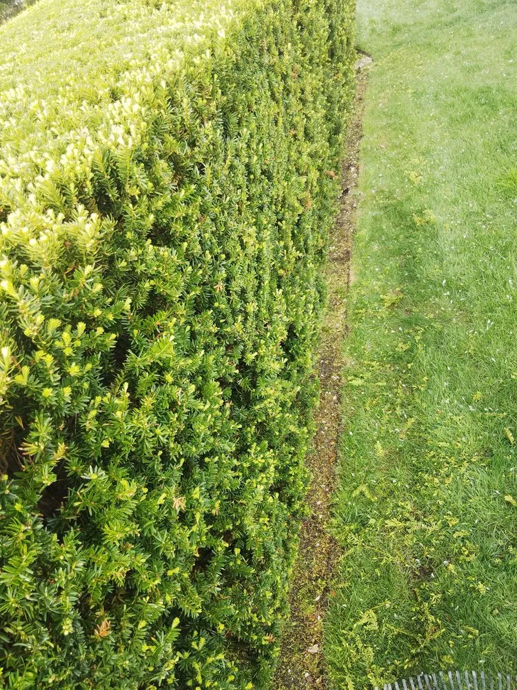 Professional landscape installation near you across Marshfield, MA - Hawk Landscape