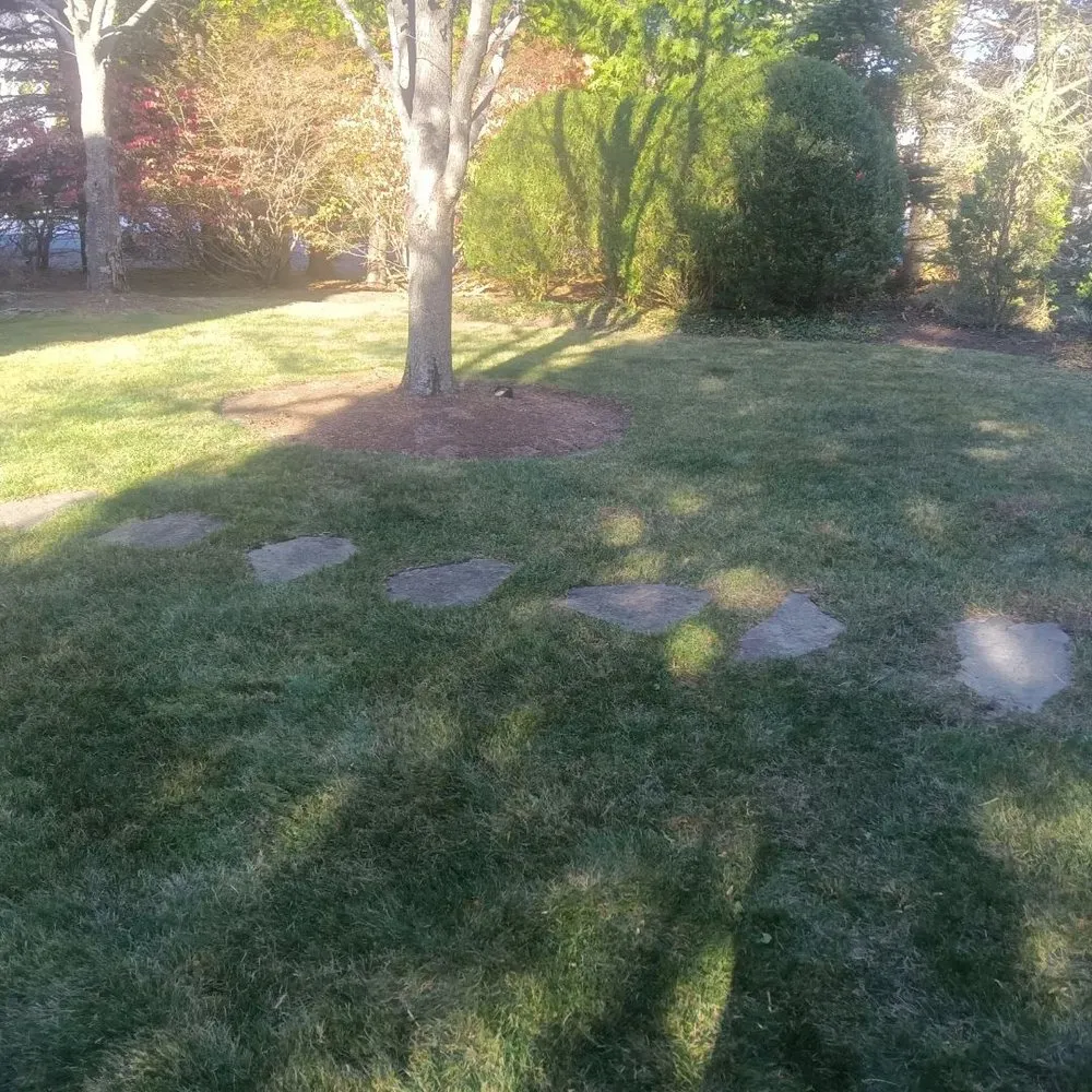Expert yard cleanup service in Marshfield, MA - Hawk Landscape