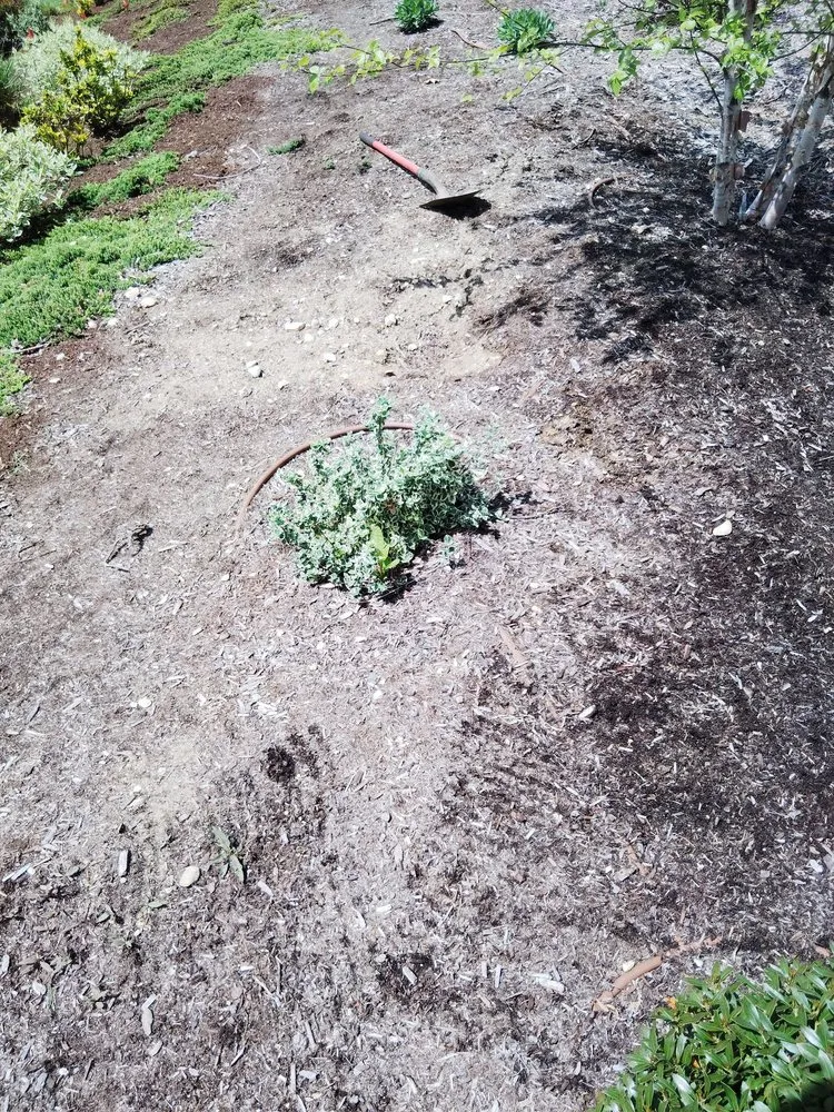 Trusted garden landscaping in Marshfield, MA by Hawk Landscape