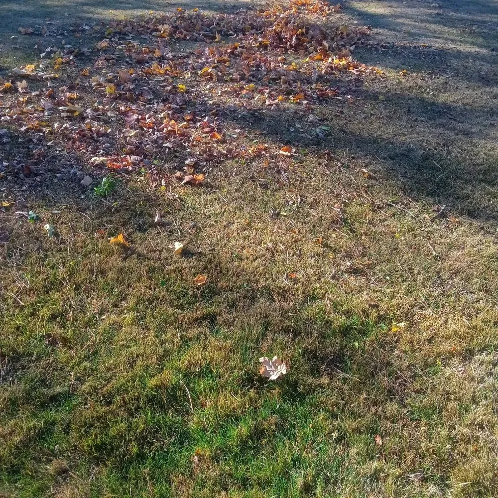 Local residential landscaping in Marshfield, MA by Hawk Landscape