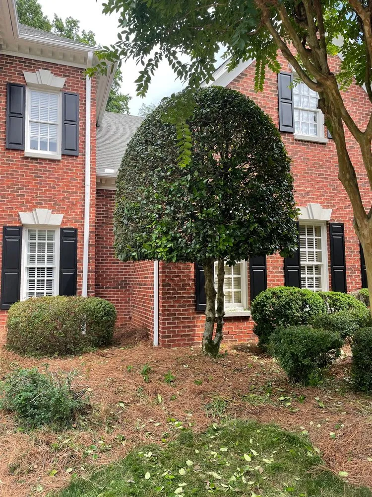 Top-rated landscape design for beautiful yards in Waxhaw, NC by Hawk Landscaping