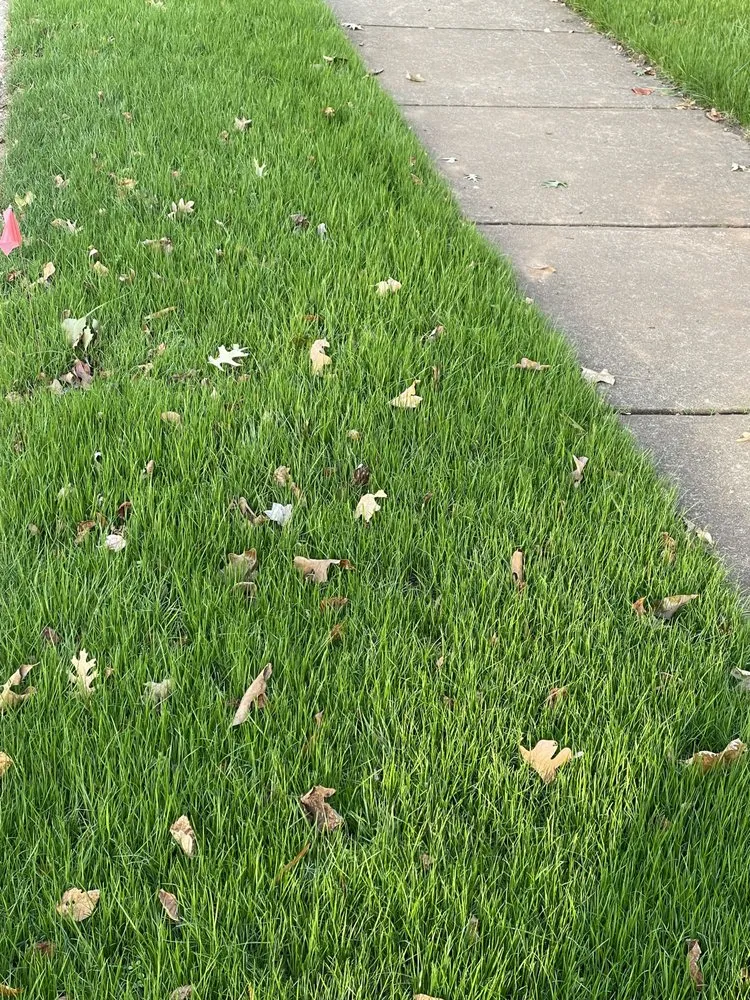 Top-rated yard maintenance for year-round maintenance across Waxhaw, NC - Hawk Landscaping