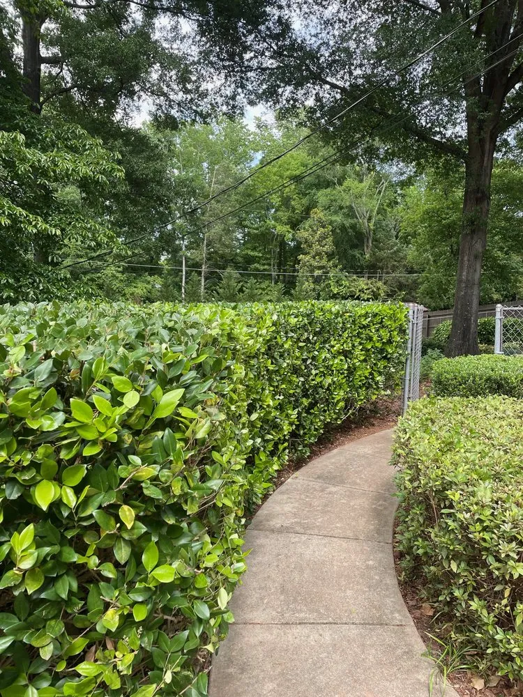 Reliable garden landscaping experts serving Waxhaw, NC - Hawk Landscaping