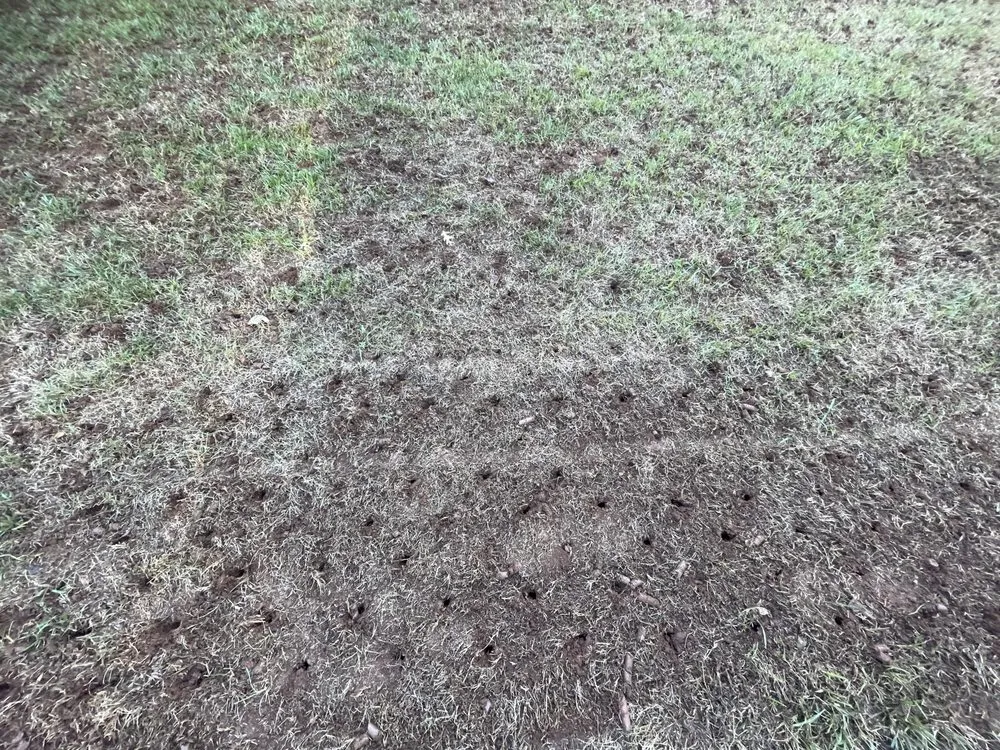 Expert lawn care service for beautiful yards in Waxhaw, NC by Hawk Landscaping