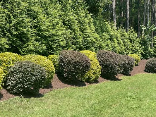 Hawk Landscaping Logo