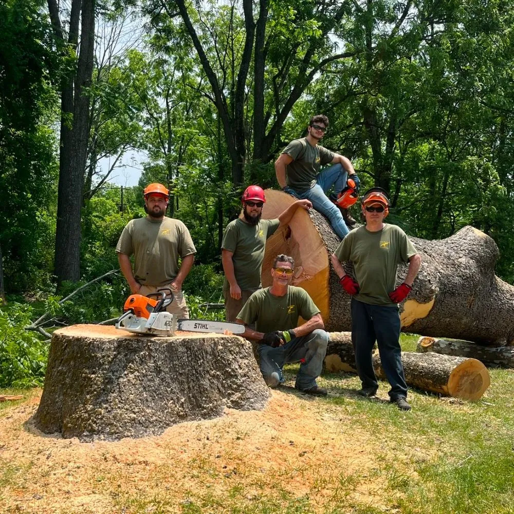 Top-rated garden landscaping experts serving Mount Bethel, PA - Hawk Mountain Tree Service