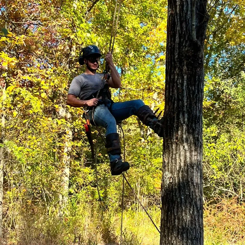 Professional outdoor landscaping in Mount Bethel, PA - Hawk Mountain Tree Service