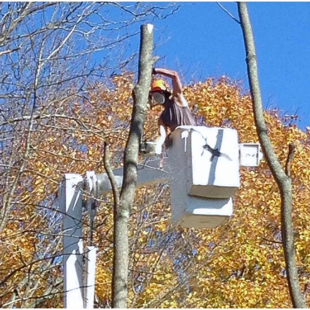 Professional landscape installation in Mount Bethel, PA by Hawk Mountain Tree Service