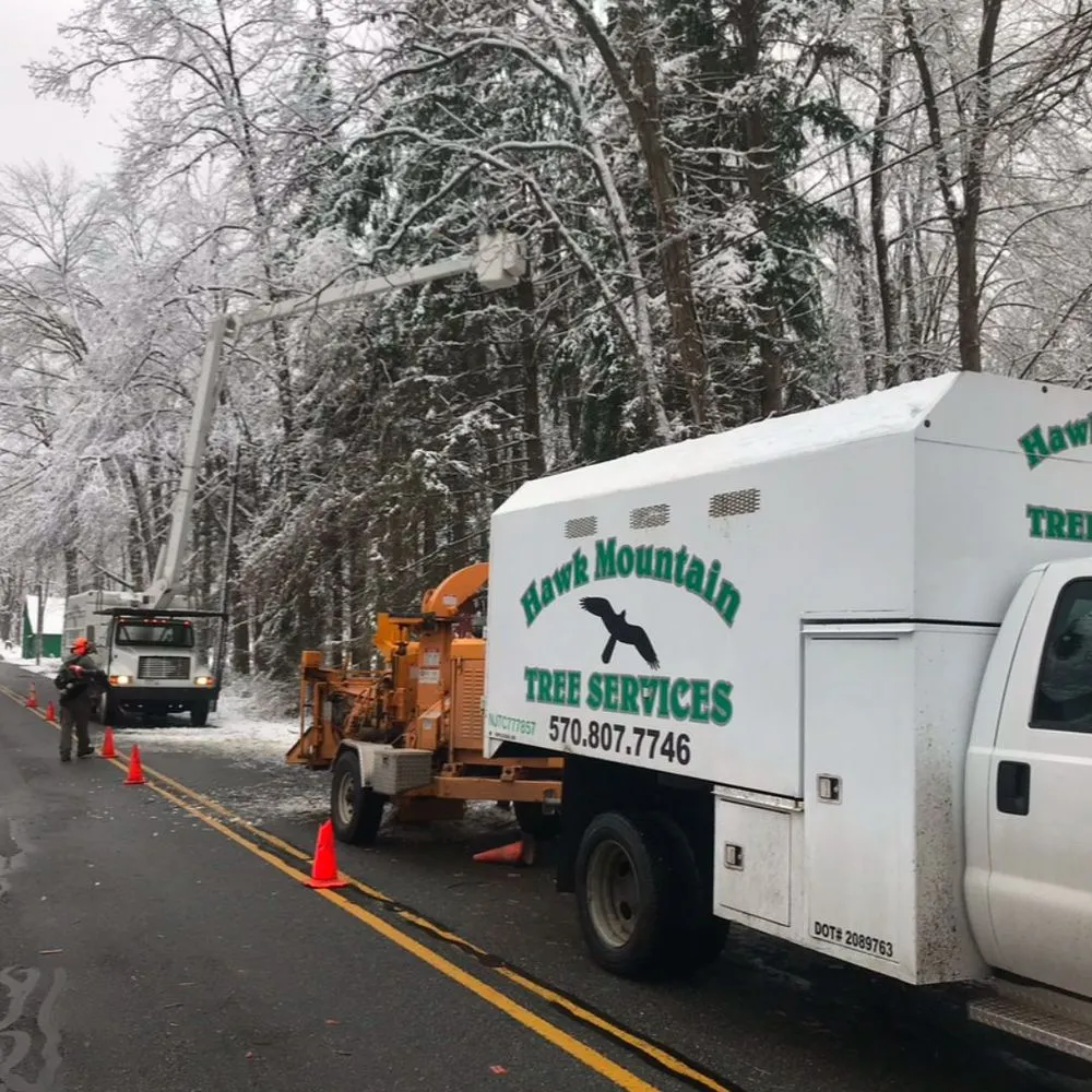 Custom landscape design in Mount Bethel, PA by Hawk Mountain Tree Service