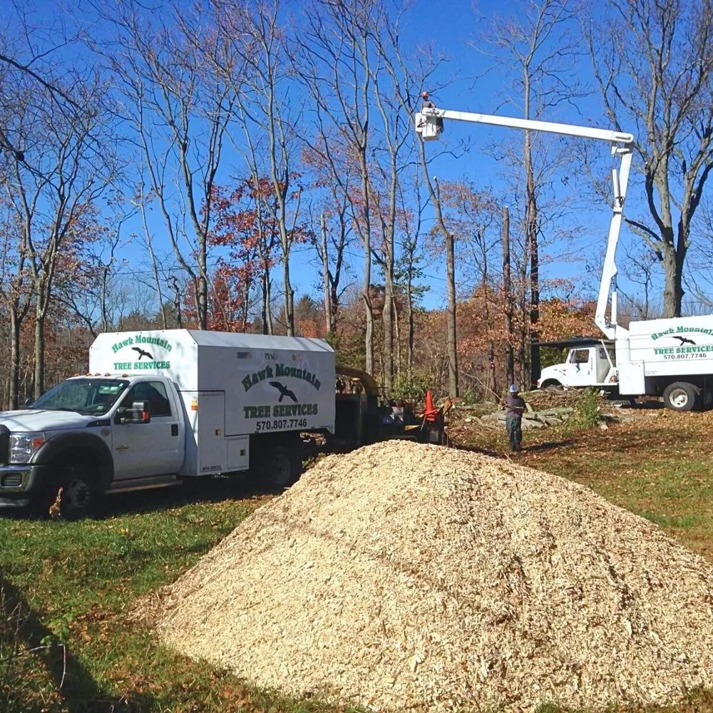 Custom yard cleanup service for outdoor upgrades across Mount Bethel, PA - Hawk Mountain Tree Service