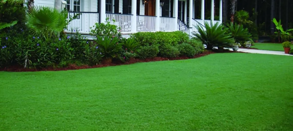 Affordable lawn care service experts serving Atlanta, GA - Hawk Scapes