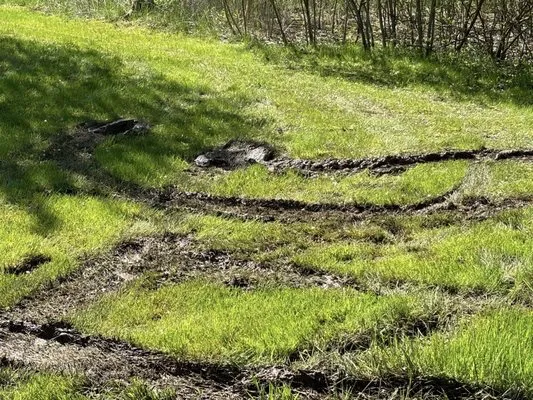 Hawkes Landscaping Logo