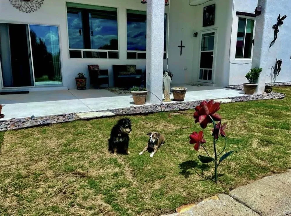 Top-rated residential landscaping in Las Cruces, NM by Hawkeye Landscaping