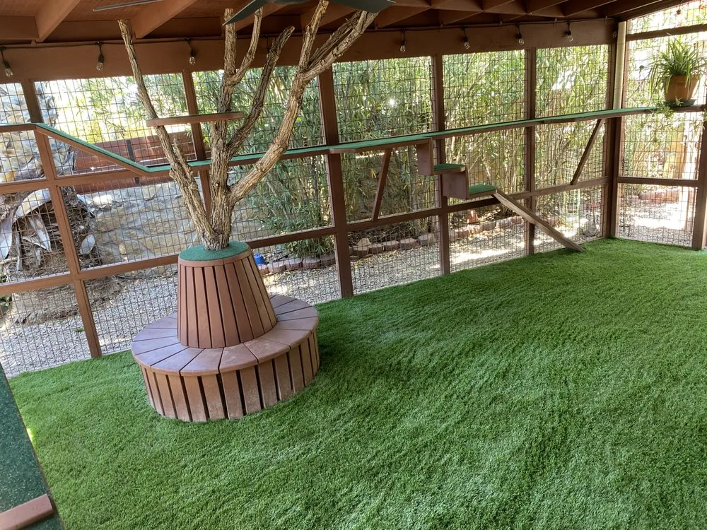 Reliable yard maintenance in Las Cruces, NM - Hawkeye Landscaping