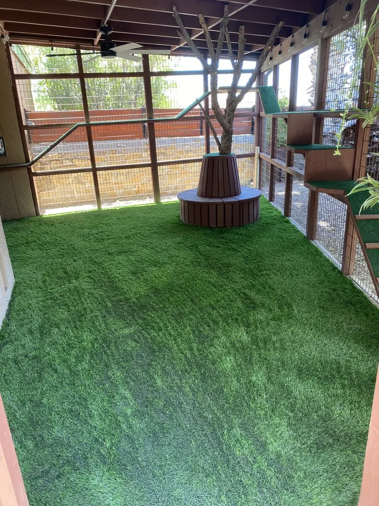 Top-rated outdoor landscaping in Las Cruces, NM - Hawkeye Landscaping