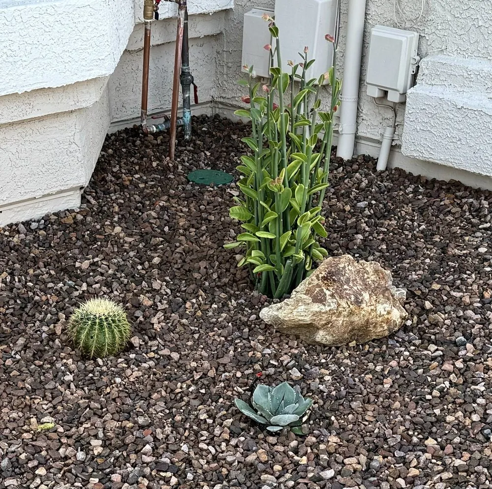 Reliable landscape design in Phoenix, AZ - Hawkeye Landscaping