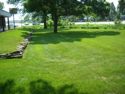 Custom yard cleanup service for residential properties across Rochester, MN - Hawkeye Services