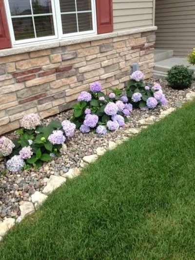 Trusted yard cleanup service in Rochester, MN - Hawkeye Services