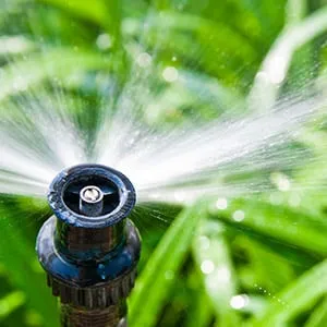 Professional landscaping services for year-round maintenance across Watkins, CO - Hawkins Brothers Lawn and Sprinkler
