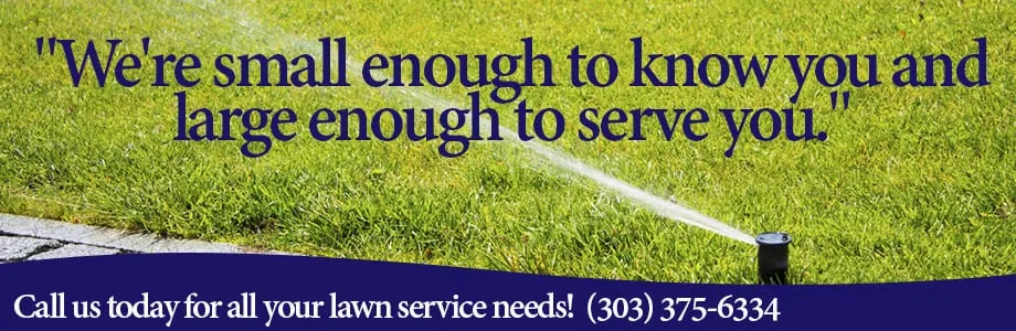 Custom residential landscaping near you across Watkins, CO - Hawkins Brothers Lawn and Sprinkler