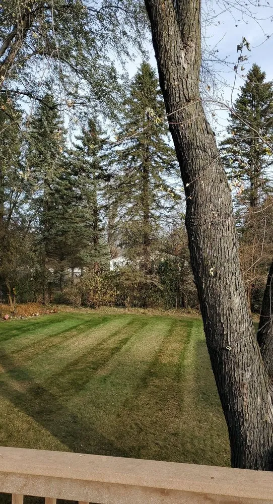 Expert lawn mowing service experts serving White Bear Lake, MN - Hawkins Companies