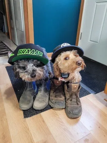 Top-rated yard maintenance in Valparaiso, IN by Hawkins Lawn Care & Snow Removal